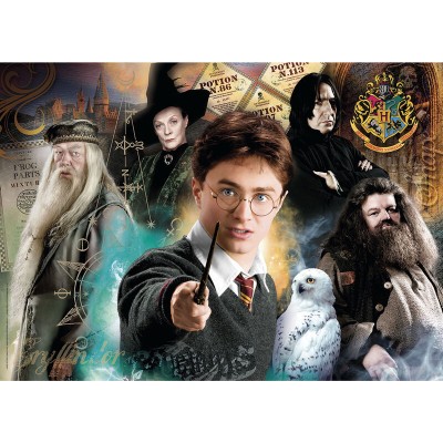 Puzzle Harry Potter 500pzs