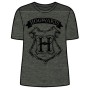 Camiseta Hogwarts Harry Potter adulto mujer