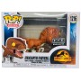 Figura POP Jurassic World 3 Atrociraptor Panthera Exclusive