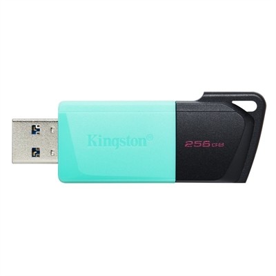 Memoria usb 32 kingston 256gb datatraveler