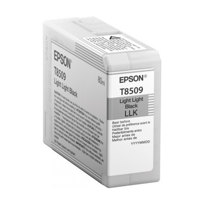 Cartucho tinta epson c13t850900 singlepack light