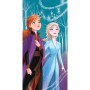 Toalla Frozen 2 Disney microfibra