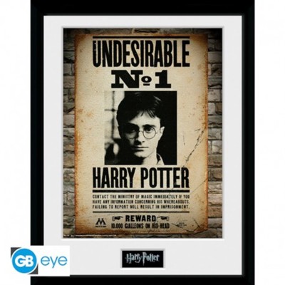 Poster enmarcado gb eye harry potter