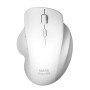 Mouse raton mars gaming mmwergo optico