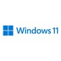 Windows 11 pro 1 licencia oem