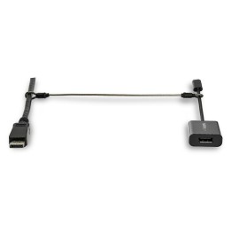 Cable seguridad startech doble lazo 20 unidades