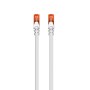 Cable red ewent latiguillo rj45 utp