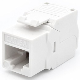 Conector rj45 wp wpc - key - 6aup - tl - w cat. 6a hembra
