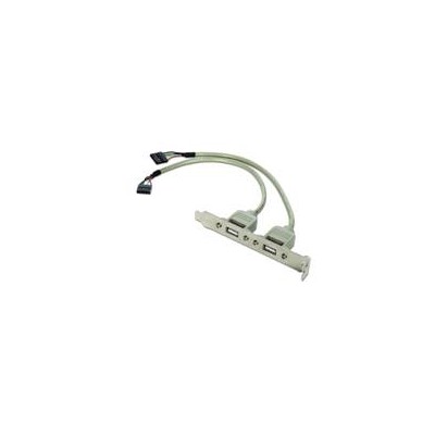 Adaptador cable ccusbreceptacle 10 pines usb