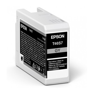 Epson singlepack gray t46s7 ultrachrome pro