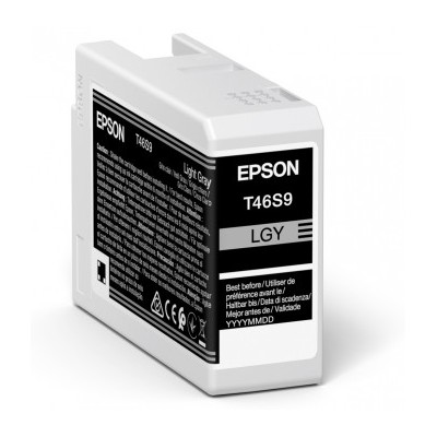 Cartucho tinta epson singlepack light gris