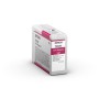 Cartucho tinta epson sc p800 magenta