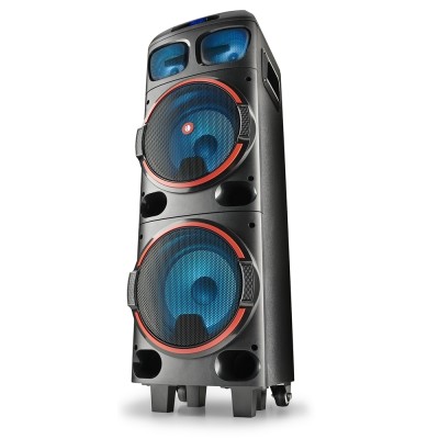 NGS Altavoz WILDDUB1 bateria 300W BT TWS/USB