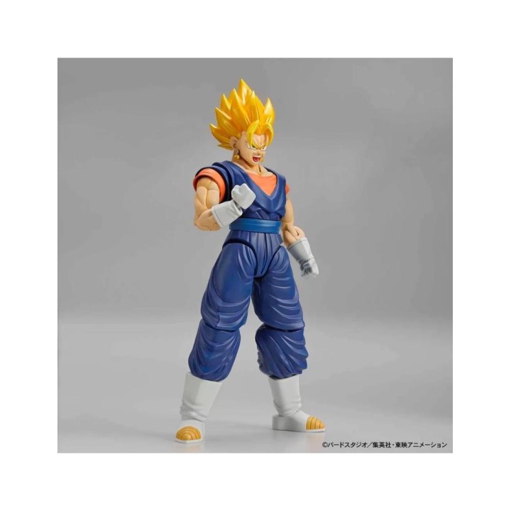 Figure rise standard super saiyan vegetto pkg