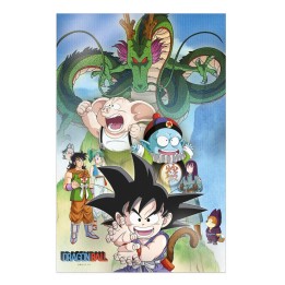 Poster 3d 38x58cm shenron and heroes