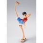 Set Accesorios S.H. Figuarts Monkey D Luffy Romance Dawn Gum Gum One Piece