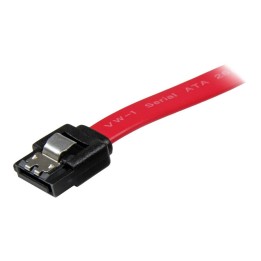 Cable sata startech 0.20m macho - macho rojo