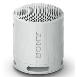 Altavoz inalambrico sony srs - xb100 gris