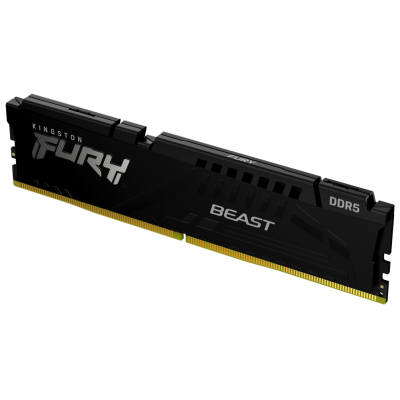 32gb 5600 ddr5 dimm fury beast