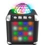 Karaoke 2 Microfonos Luces Led