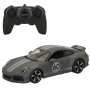 Coche Porsche 911 radio control