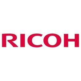 Esponja absorbente ricoh ri 100 24