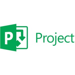 Microsoft project professional 2024 esd (descarga