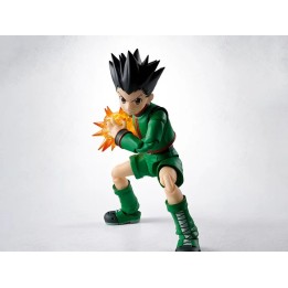 Figura tamashii nations hunter x hunter