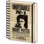 Cuaderno A5 lenticular Carteles Harry &38 Sirus Harry Potter