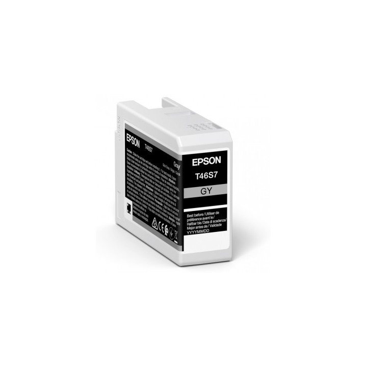 Epson singlepack gray t46s7 ultrachrome pro