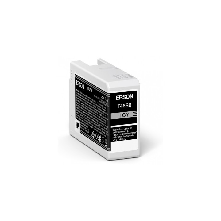 Cartucho tinta epson singlepack light gris