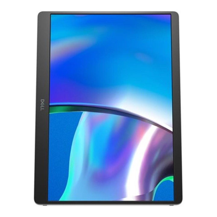 Monitor dell pro pls p1425 portable