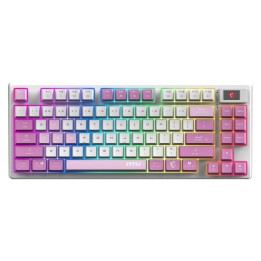 Teclado msi forge gk600 tkl inalambrico