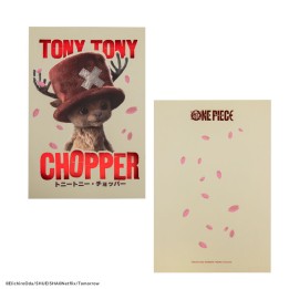 Libreta one piece netflix tony tony