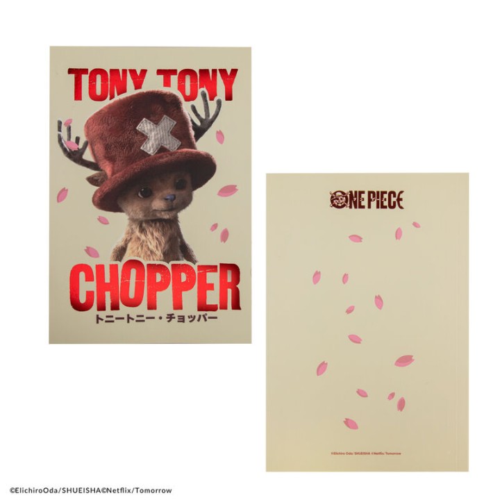 Libreta one piece netflix tony tony