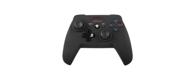 Gamepad